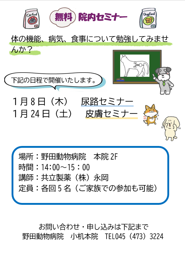 病院からのお知らせのカテゴリー – 横浜市港北区 野田動物病院